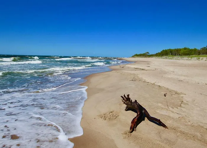 Bursztynowe Komnaty Darlowko